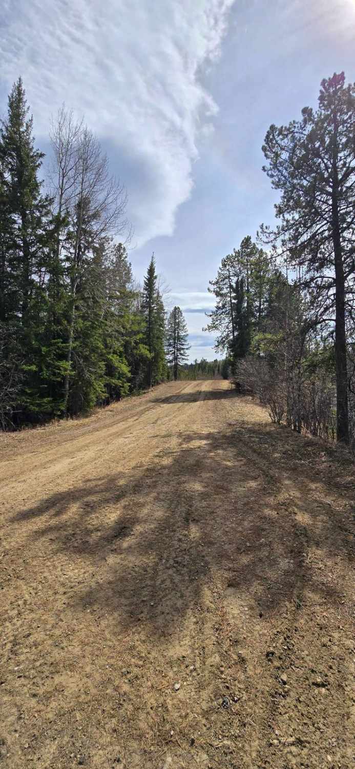 Gosling Lake Trail