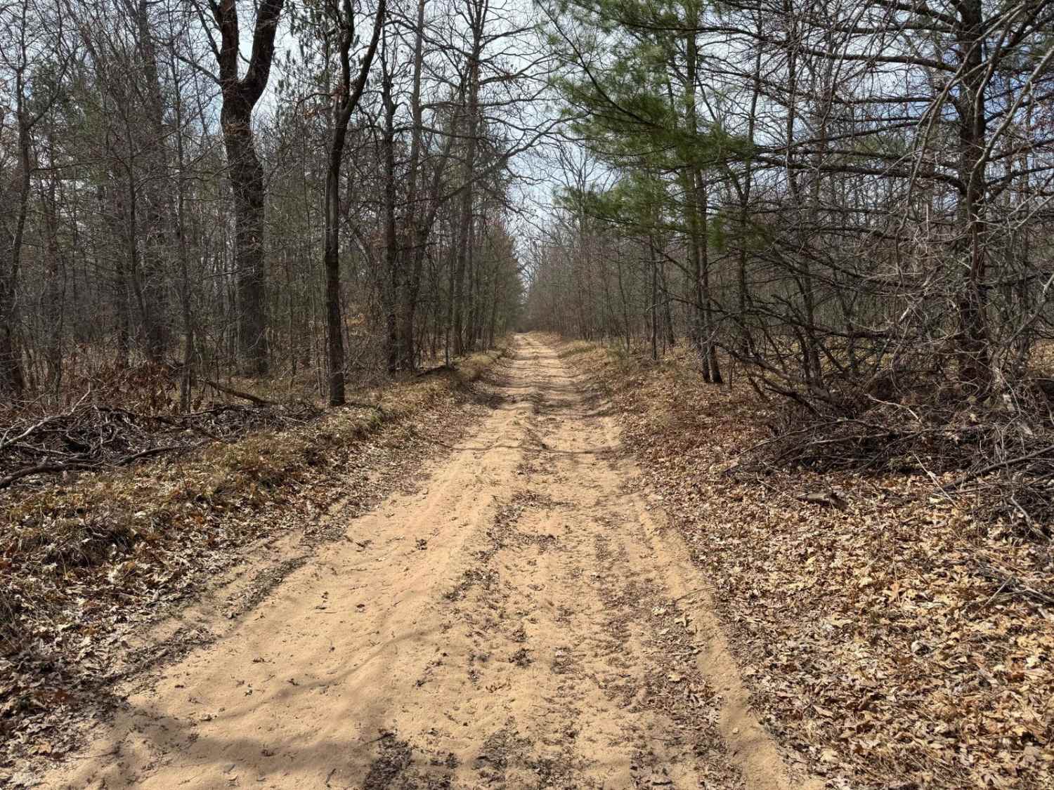 MCCCT - Grand Traverse to Supply Road