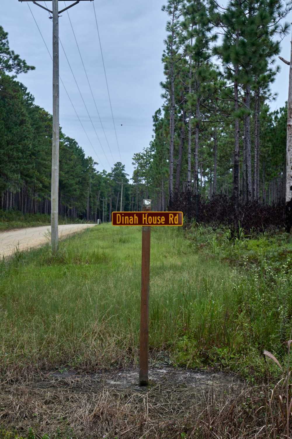 Bonneau Ferry WMA - Perimeter Loop A