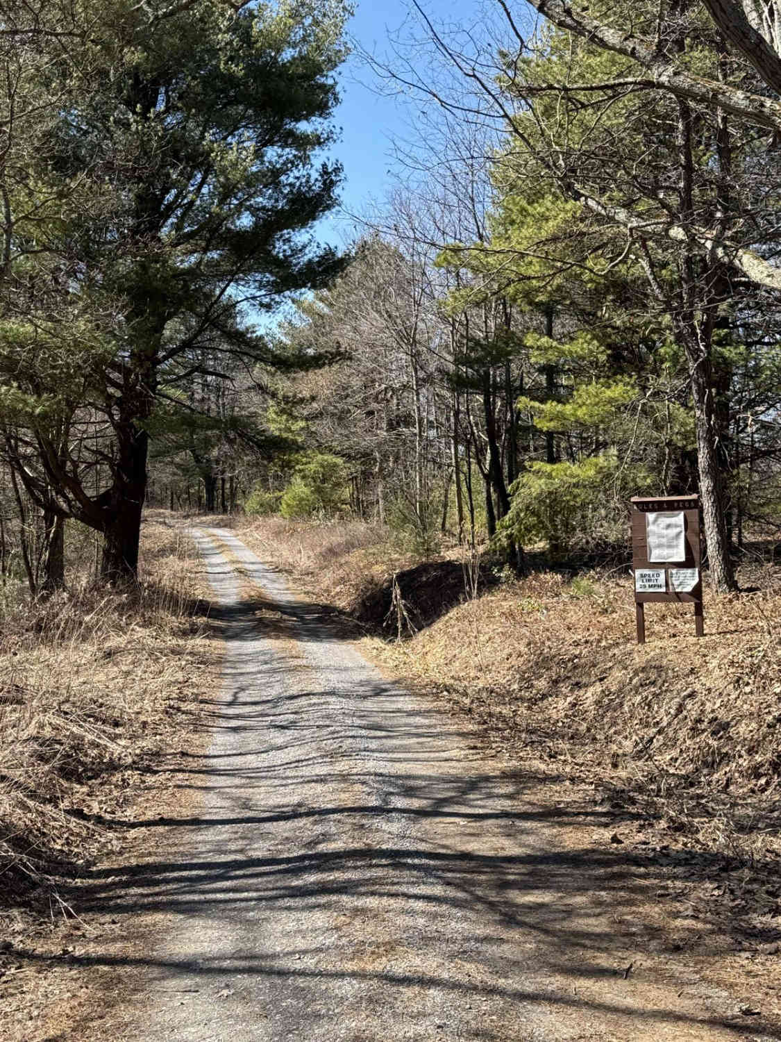 Barney's Ridge Road