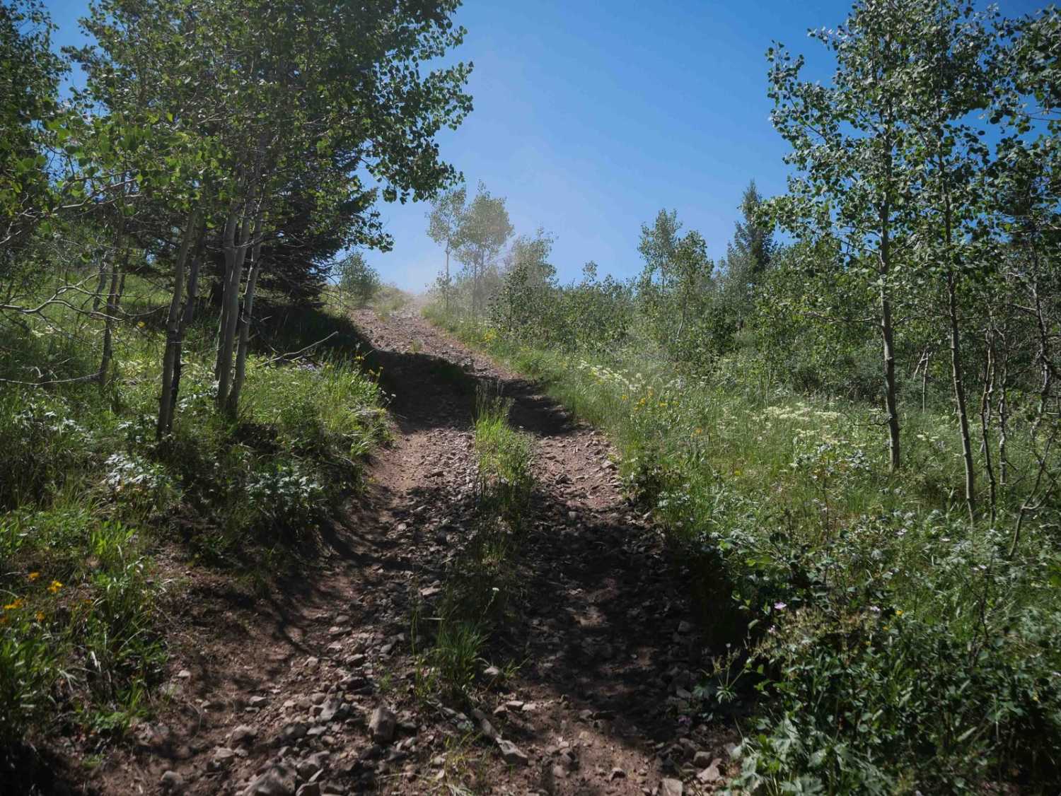 North Sulfur- Sulfur Johnson #5244