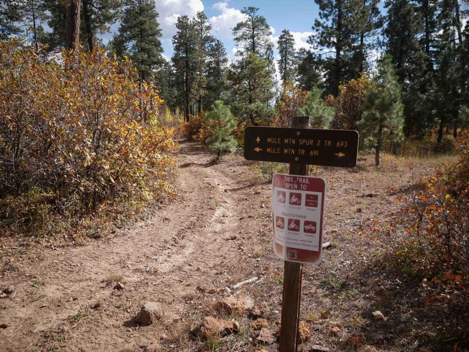 Mule Mountain Spur 2 