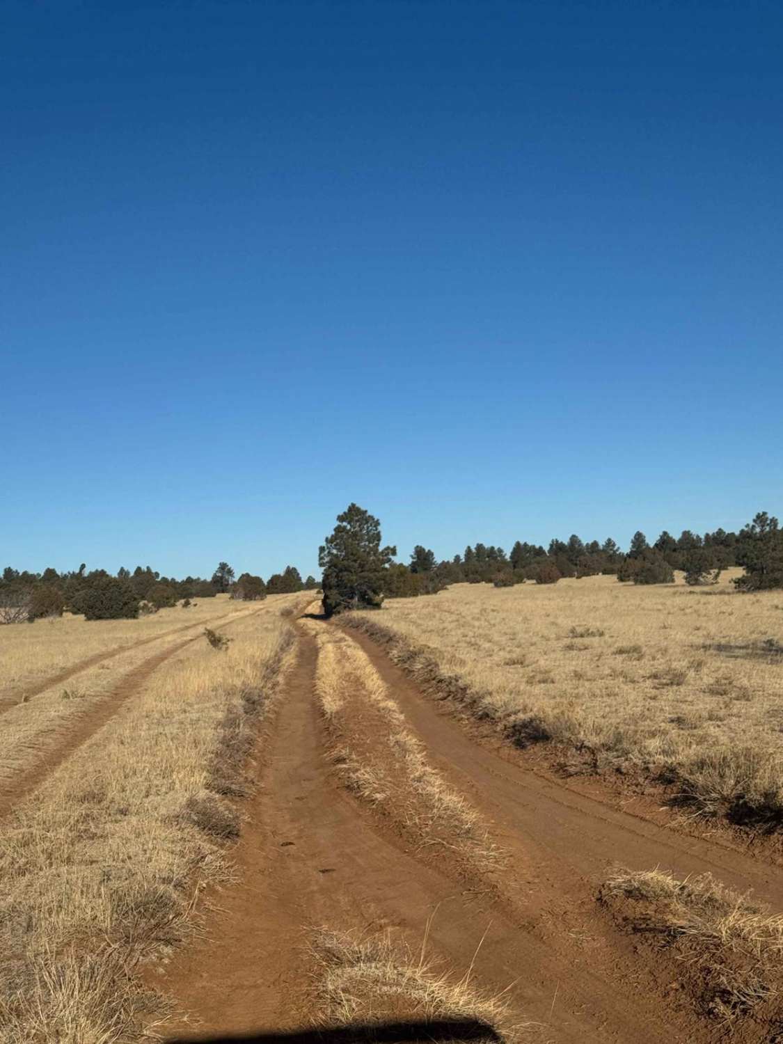 Valle Grande 