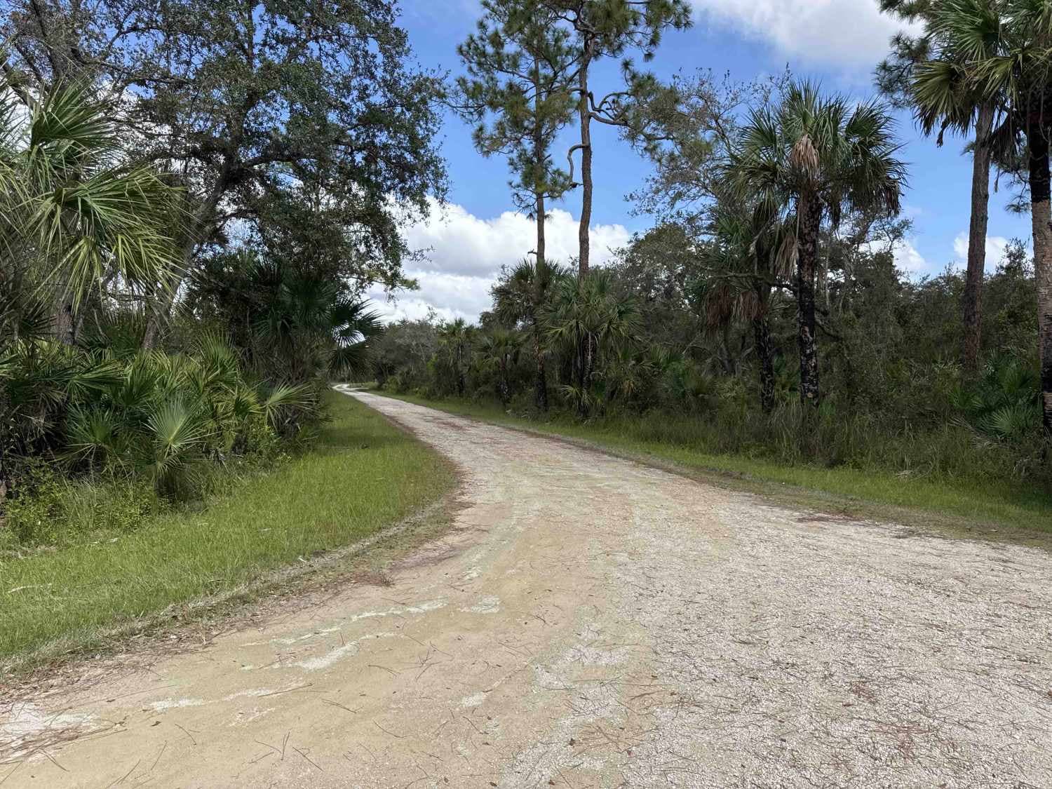 Bear Island Road