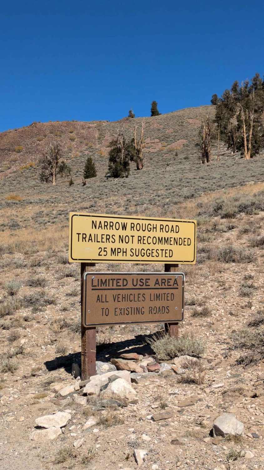 White Mountain Road