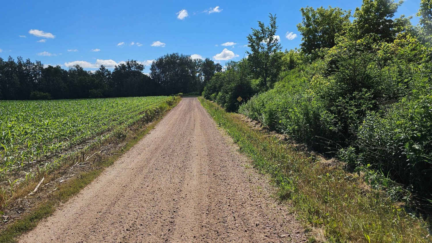 Barron to Cameron - Blueberry Trail Extension
