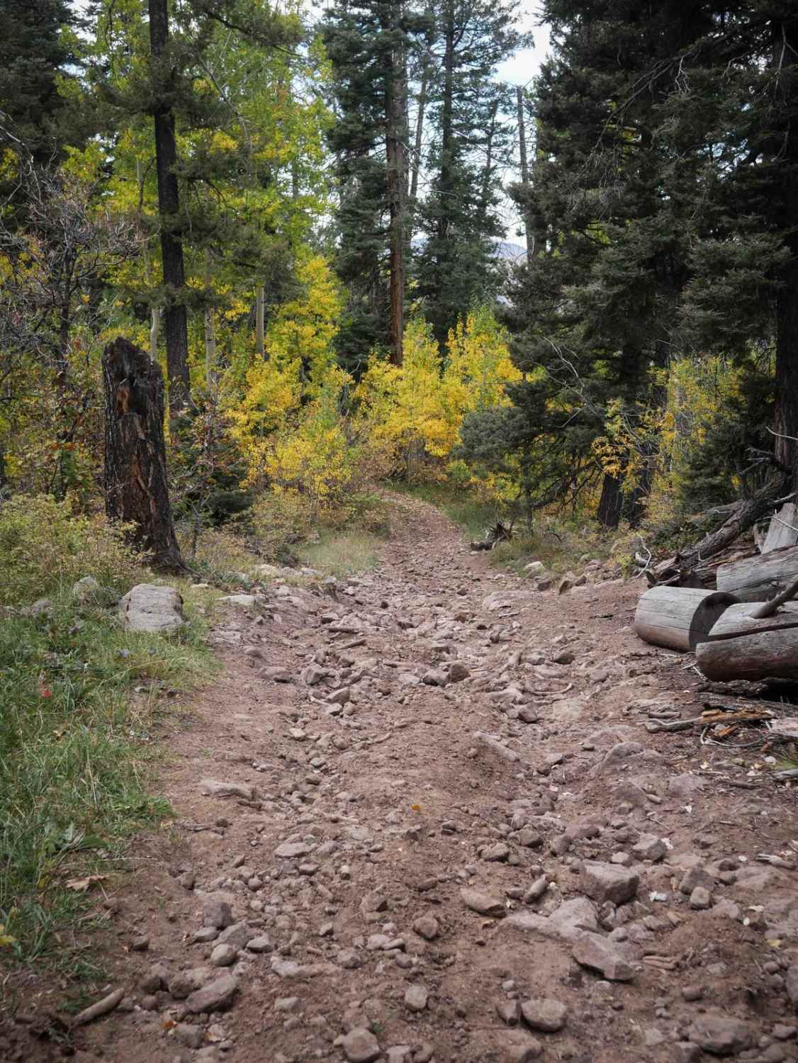 Runlett ATV 