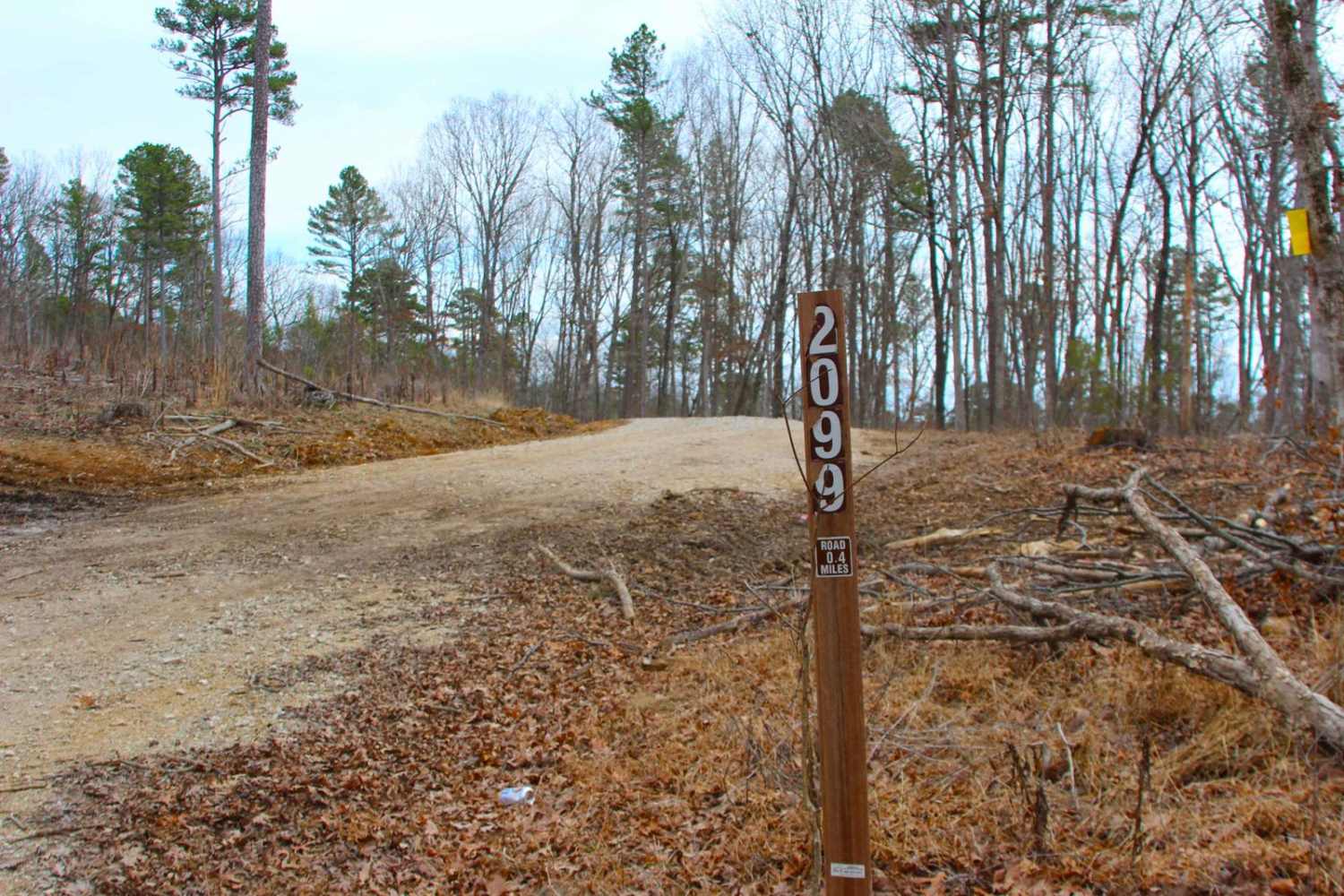 Boiling Ridge - FS 2099