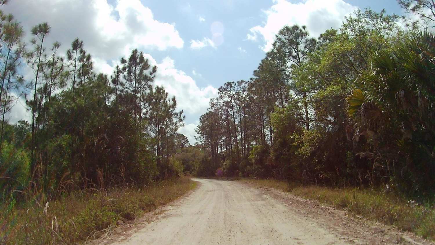 Mustang Loop