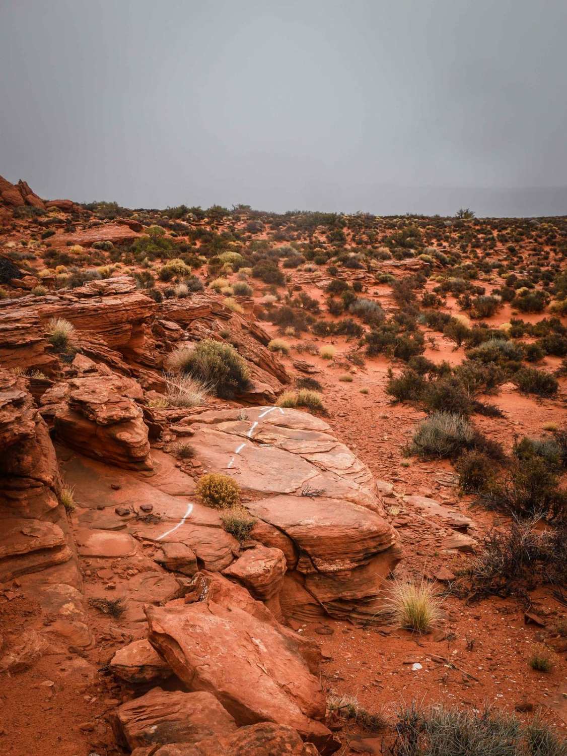 Rock Rim Single Track