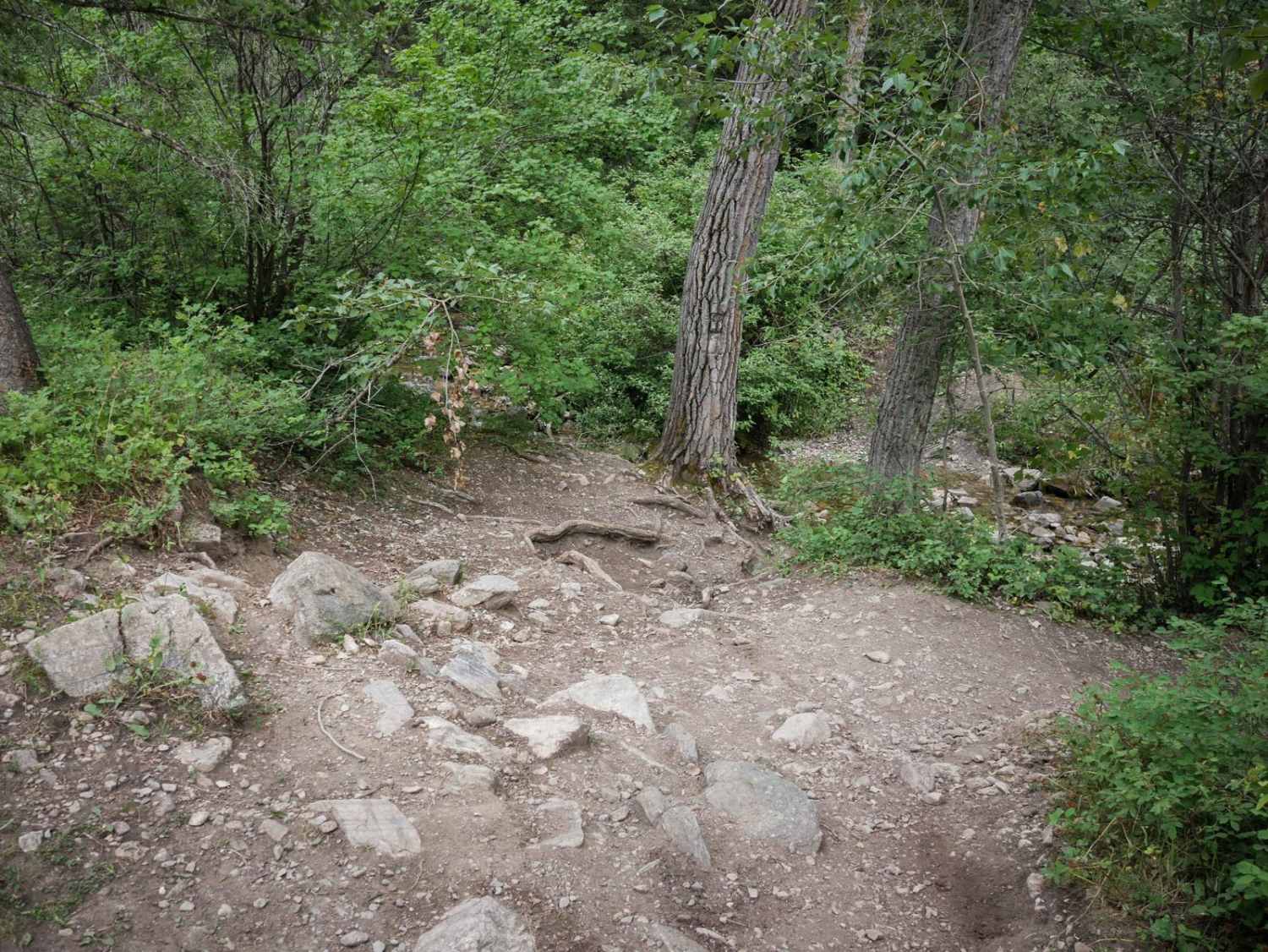 Middle Cottonwood 