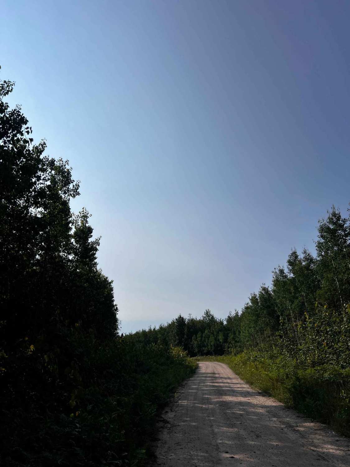No. 8 Trail