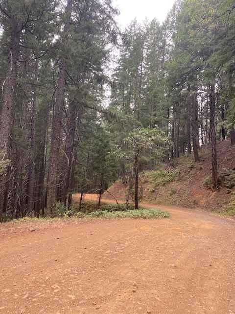 McCloud River 38N53
