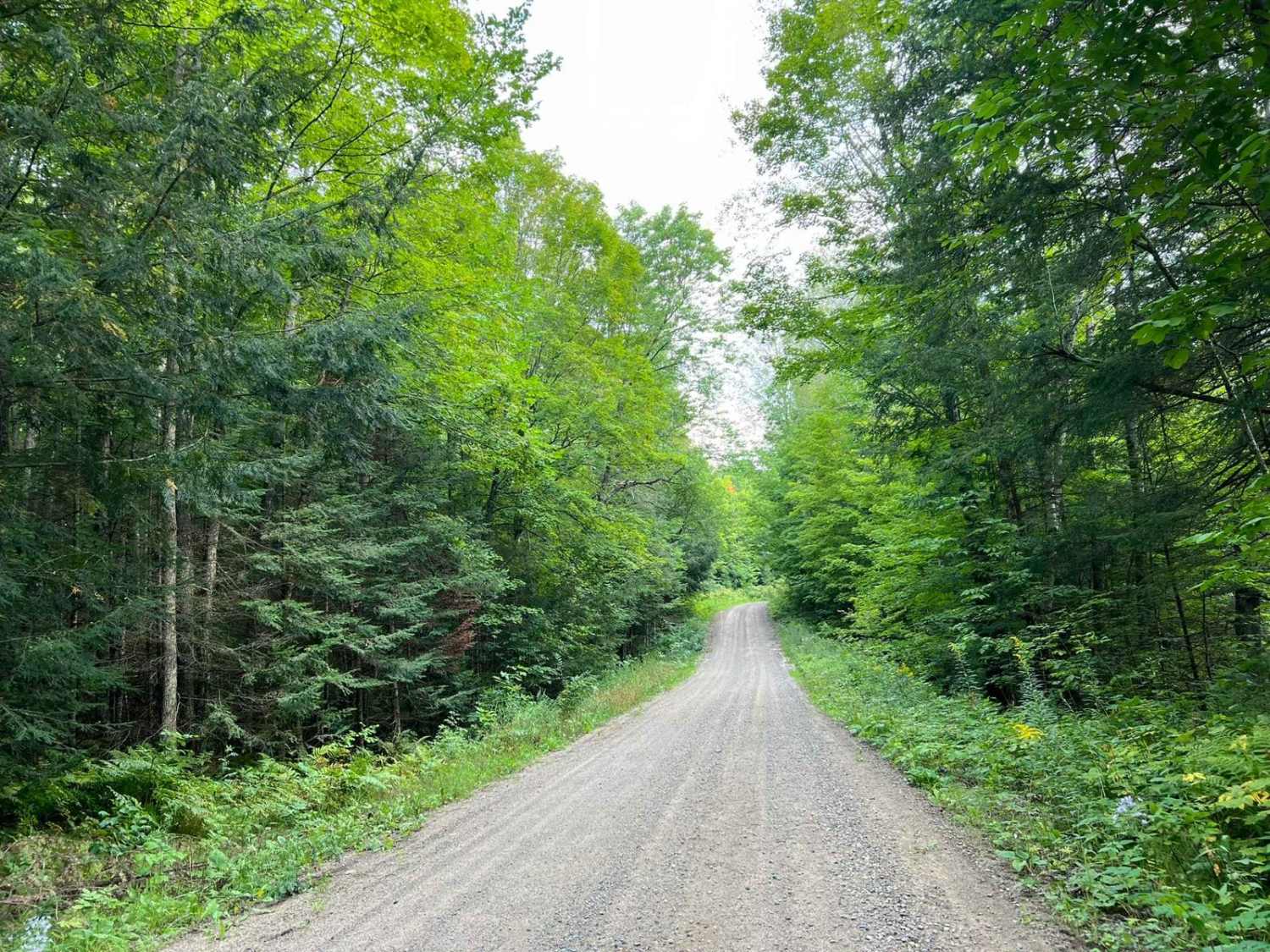 Indian Market Road - FS 2139