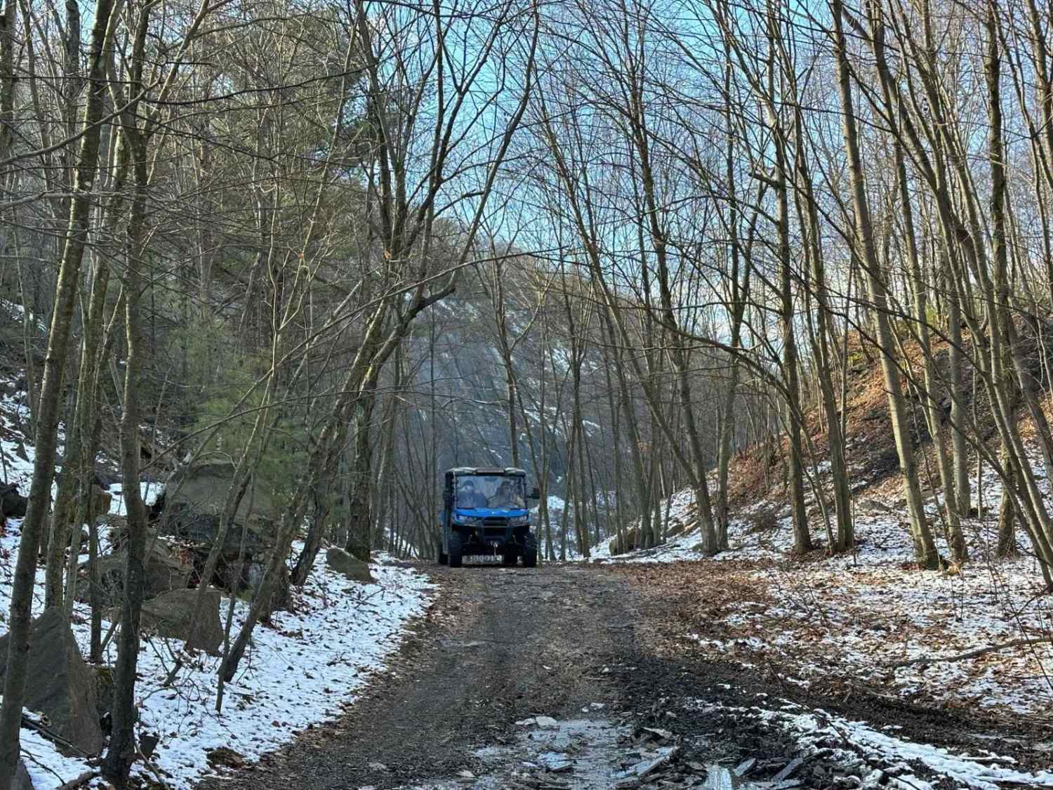 Locust Gap 34