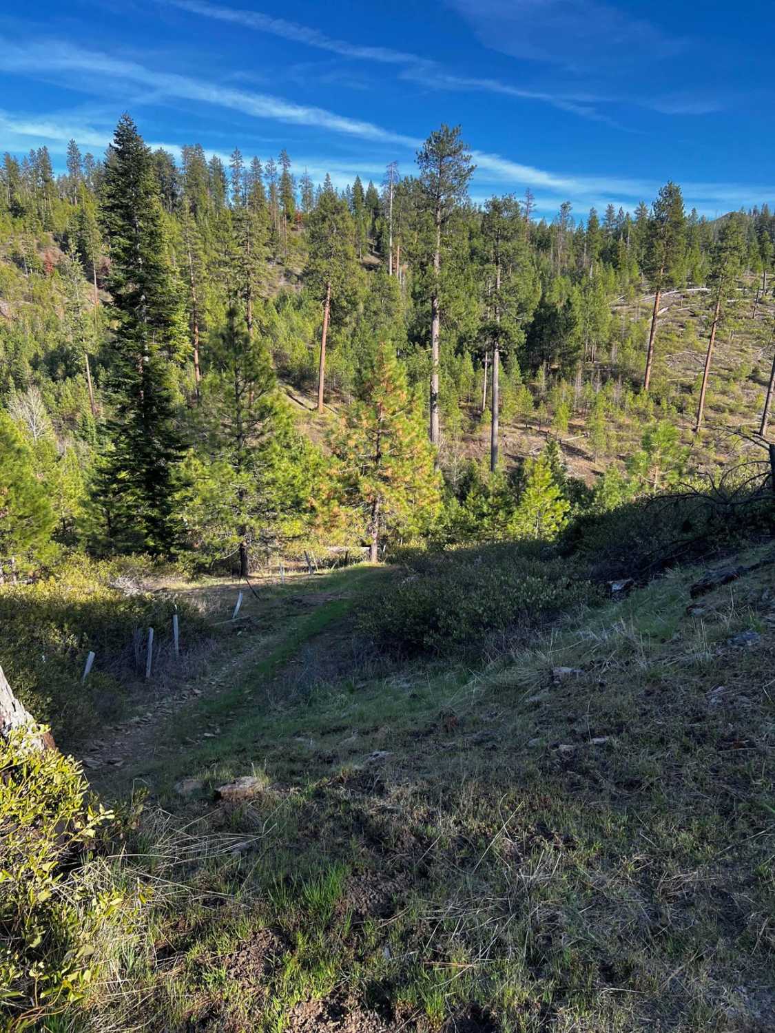 Lower McKay Creek Road to West Fork Mill Creek Road