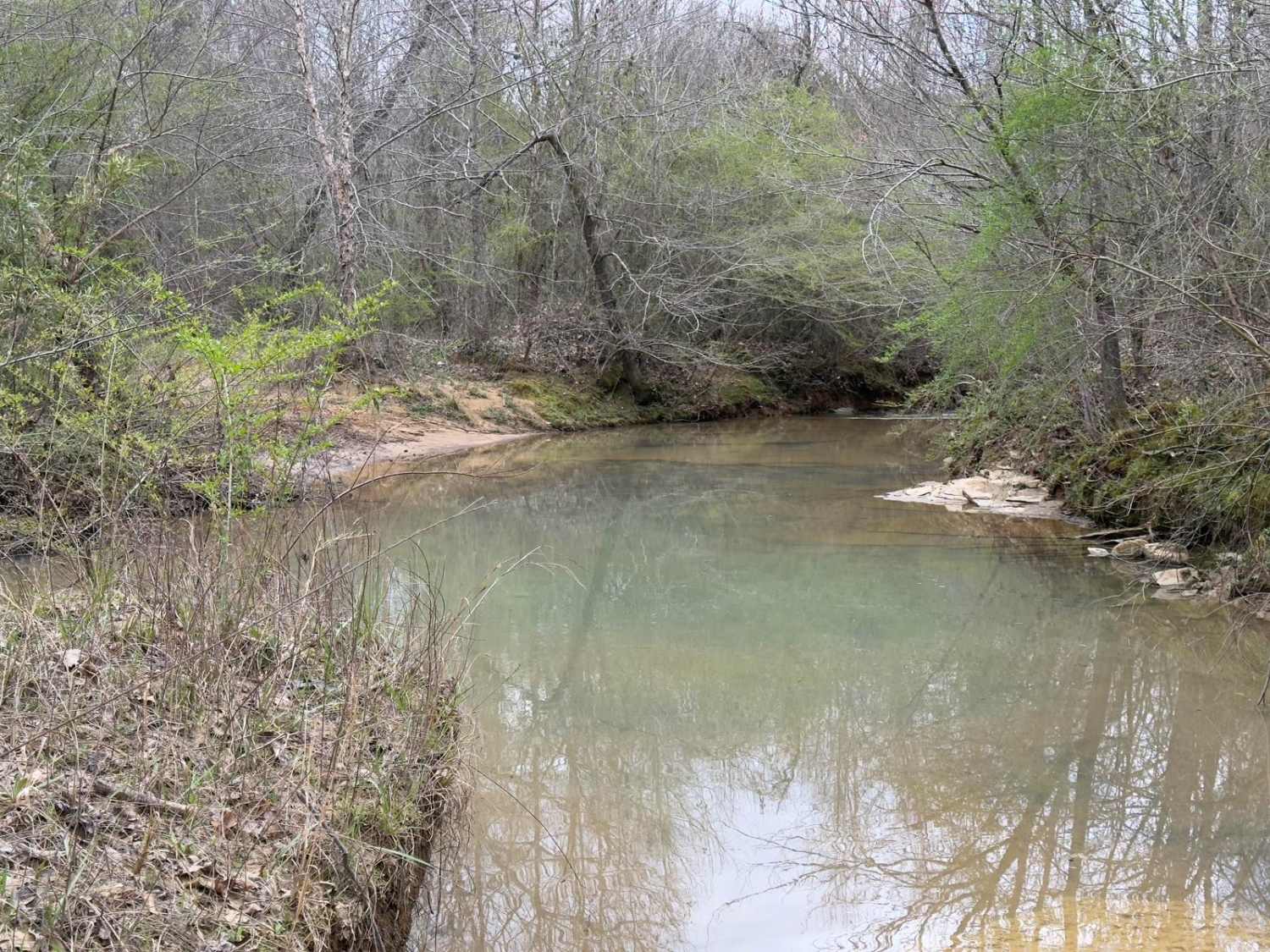 Creek Loop