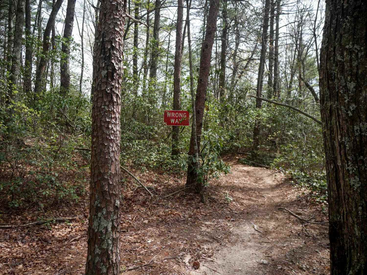 Trail 7 Richard's Bypass