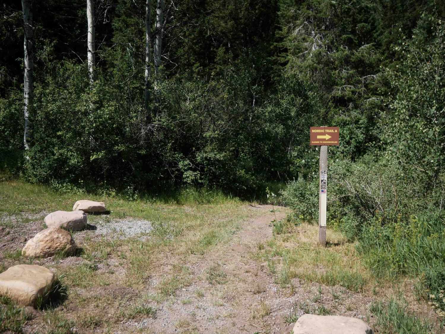 Trail Canyon #5254