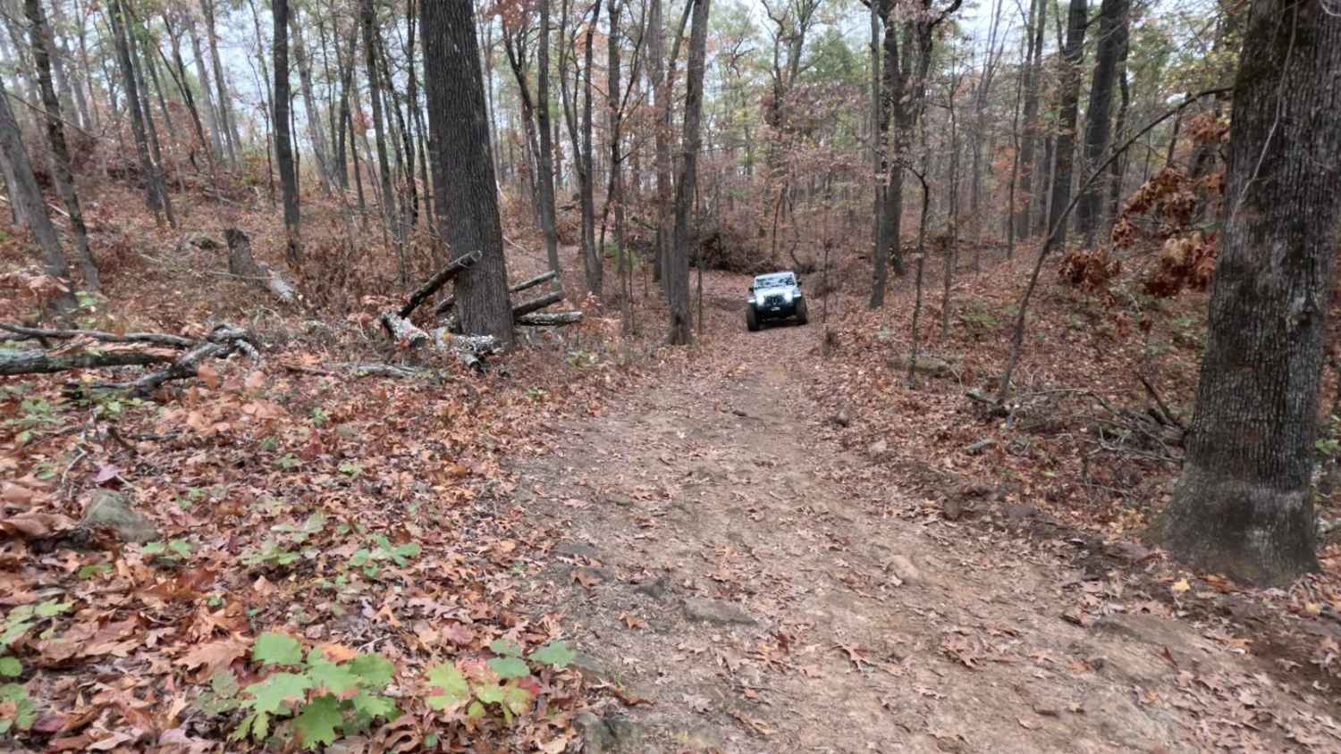 Logging Bank Trail (FSR #94449B)