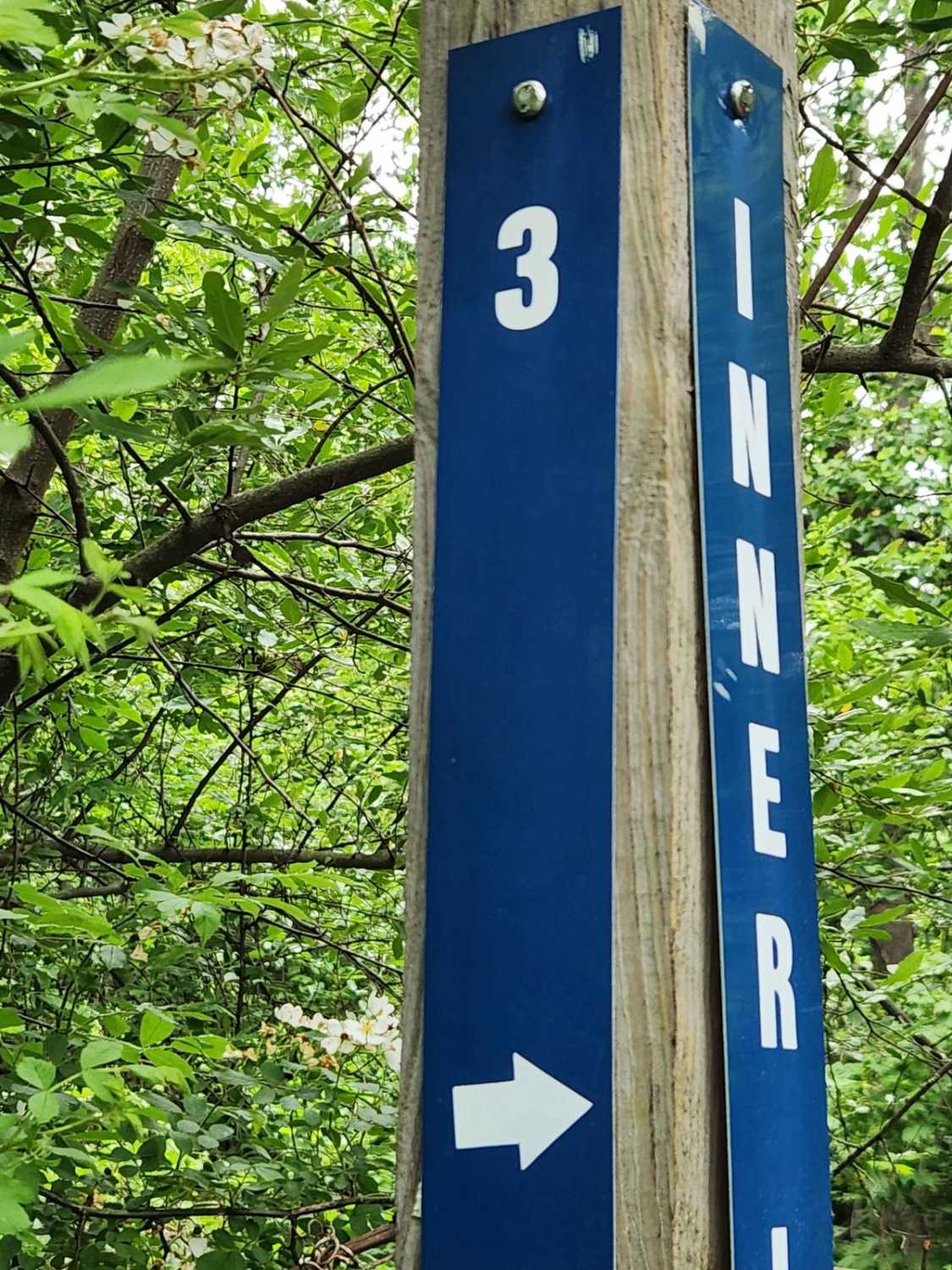 Trail 3 - Green - Rock Run Recreation Area