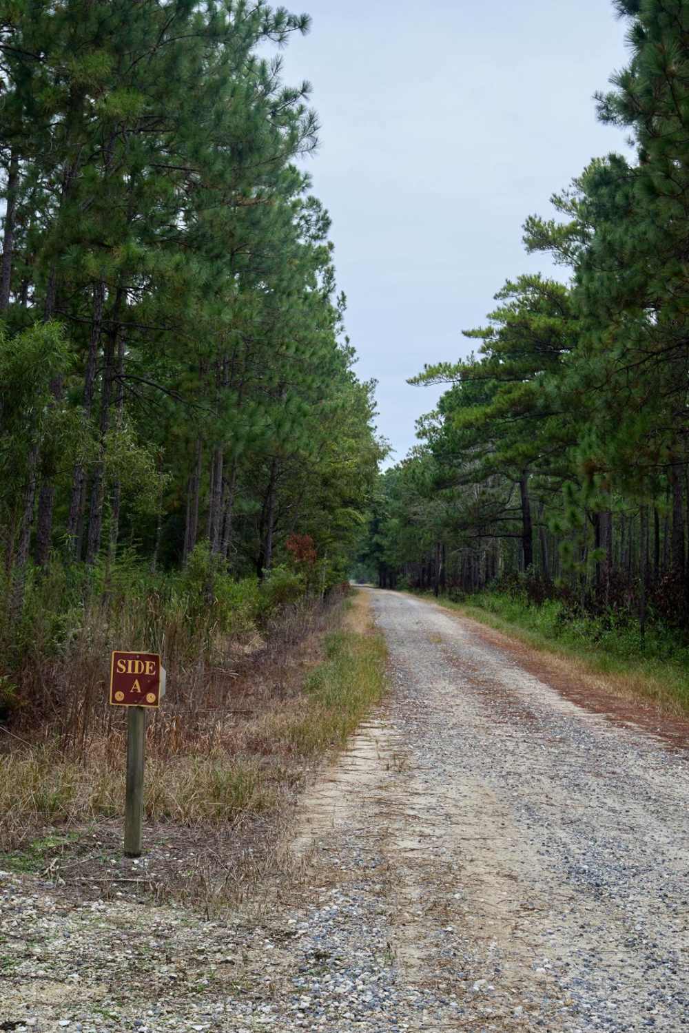 Bonneau Ferry WMA - Wetland Access