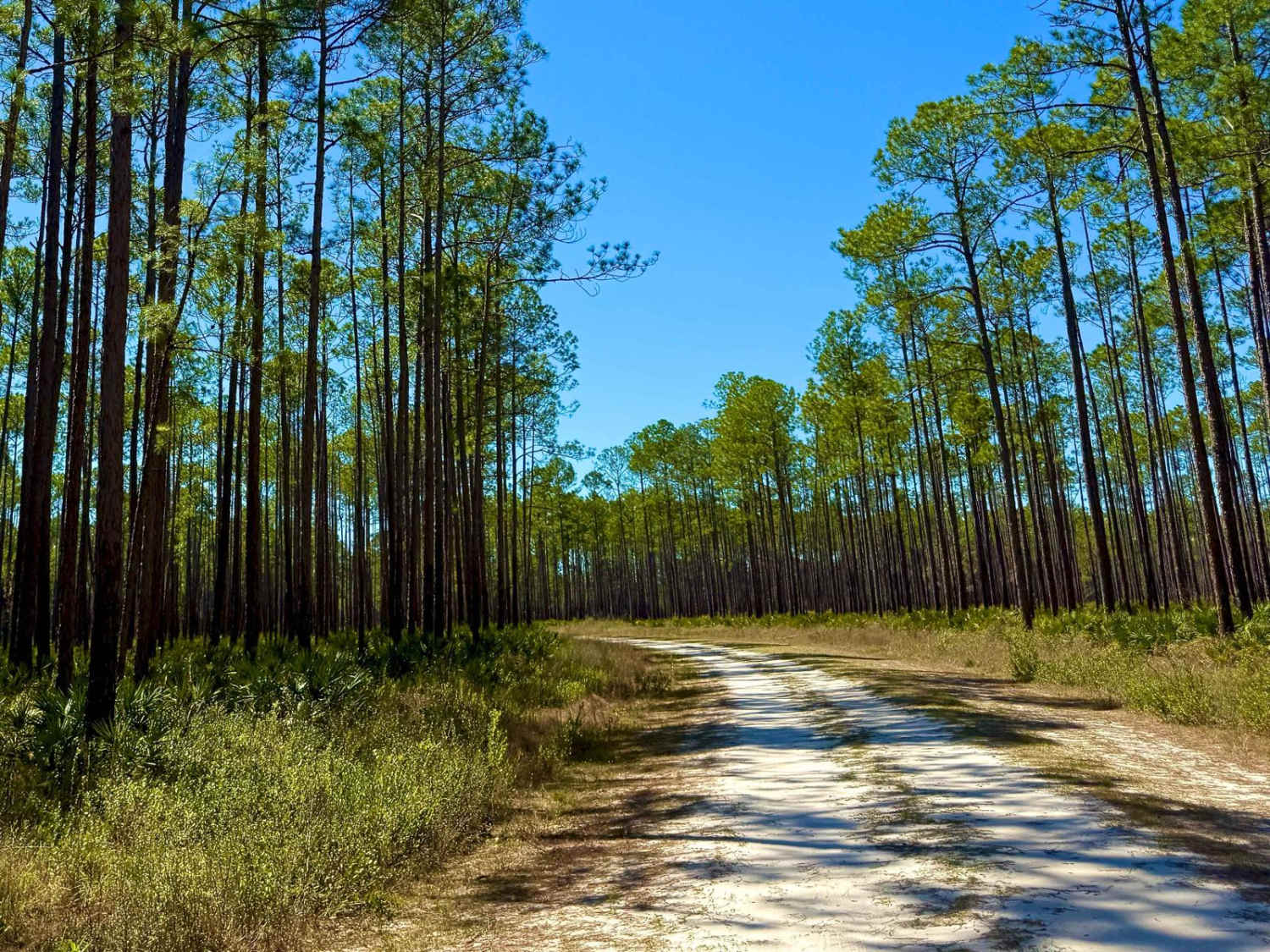 Otter Camp South - FS 344