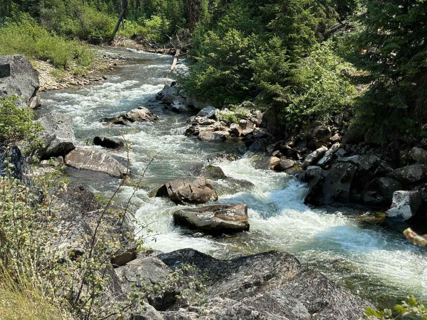 Soda Creek- FS 1172