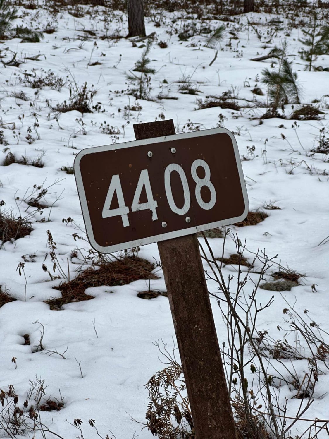 FS 4408