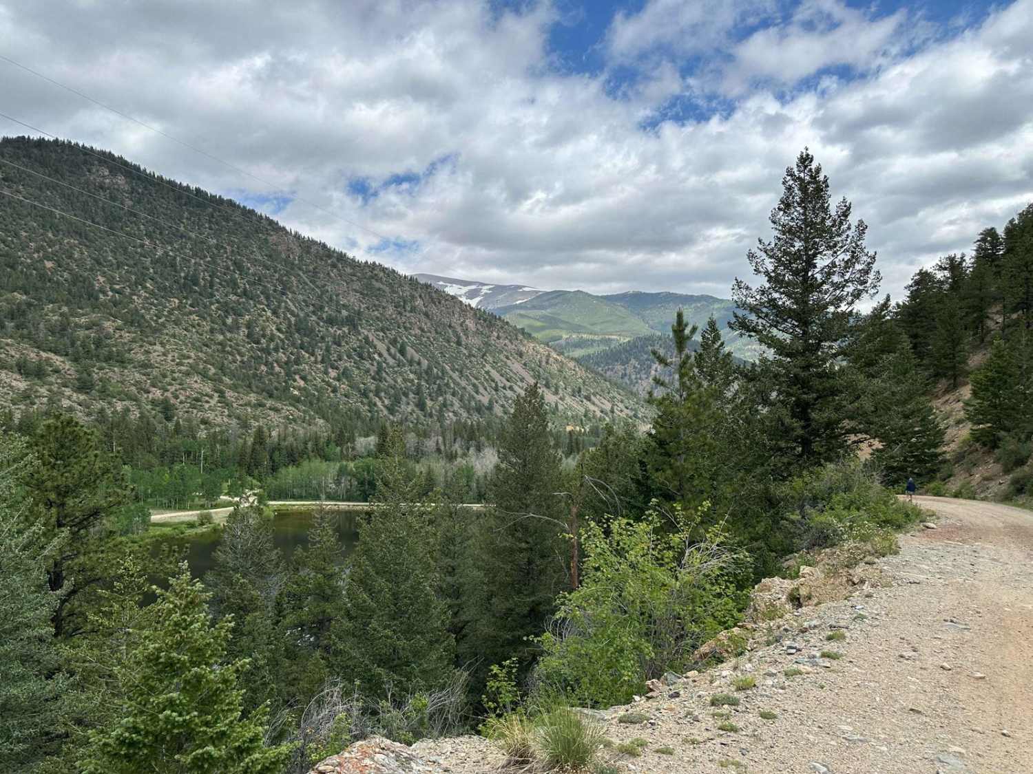 Bard Creek Road