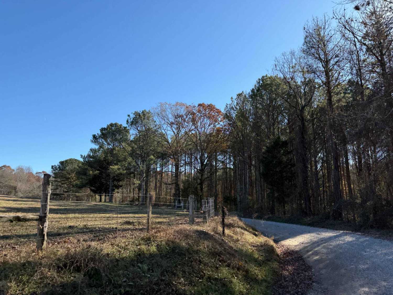 National Forest Road 121 
