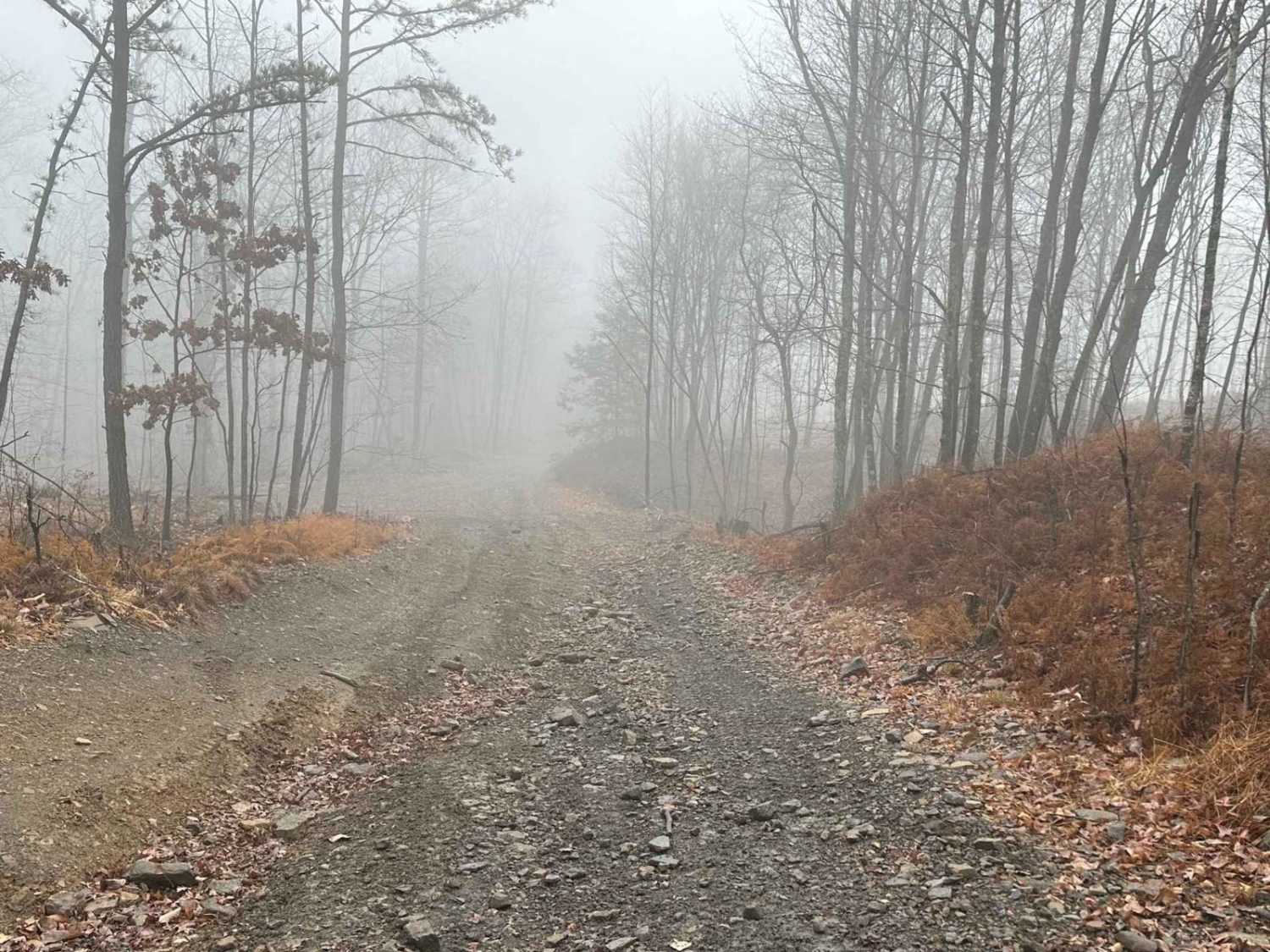 Hill Island Road to Paradise Connector
