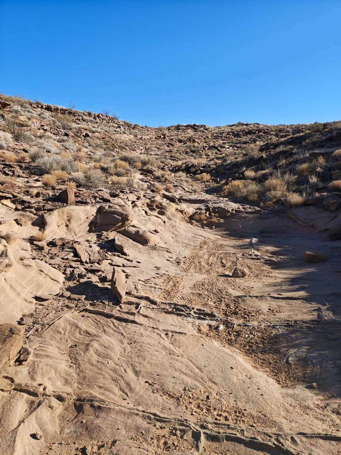 Loop Canyon - Single Track