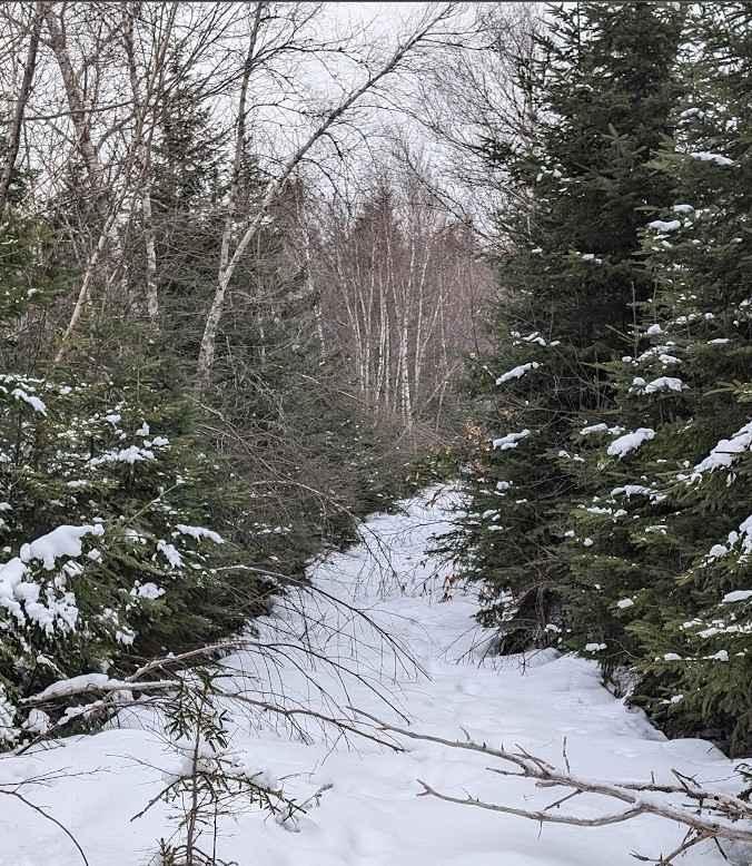 Crow Hill Loop