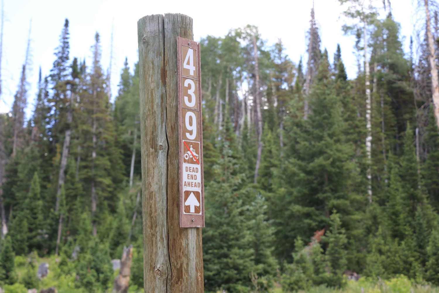 Buck Camp Hollow - FS 70439