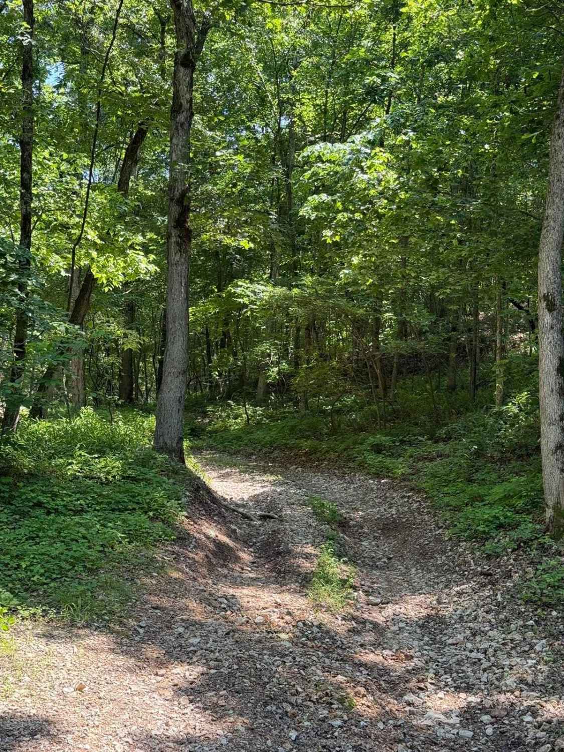 Gunnar's Trail