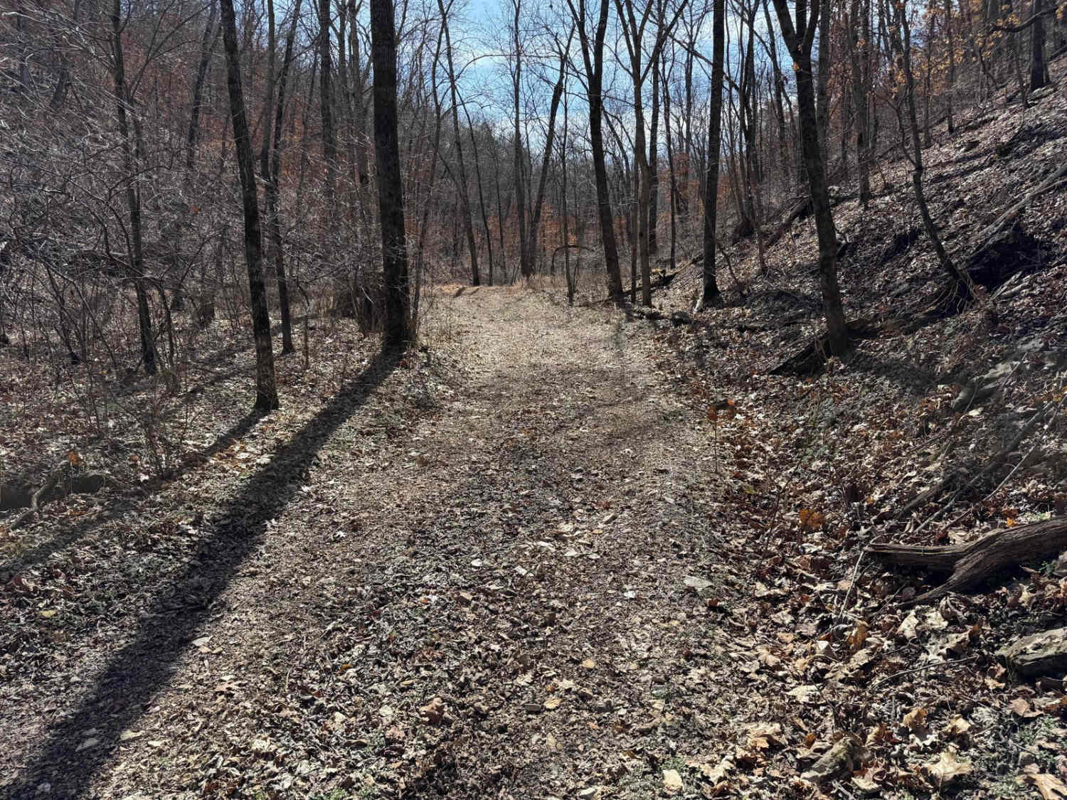 Morgans Creek 377