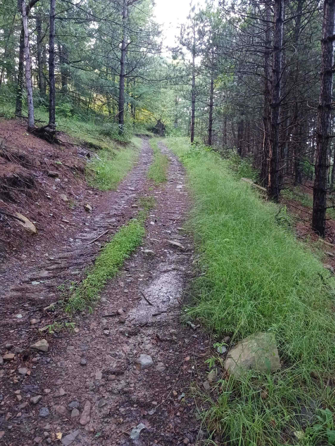 Trail 11I - Rock Run Recreation Area