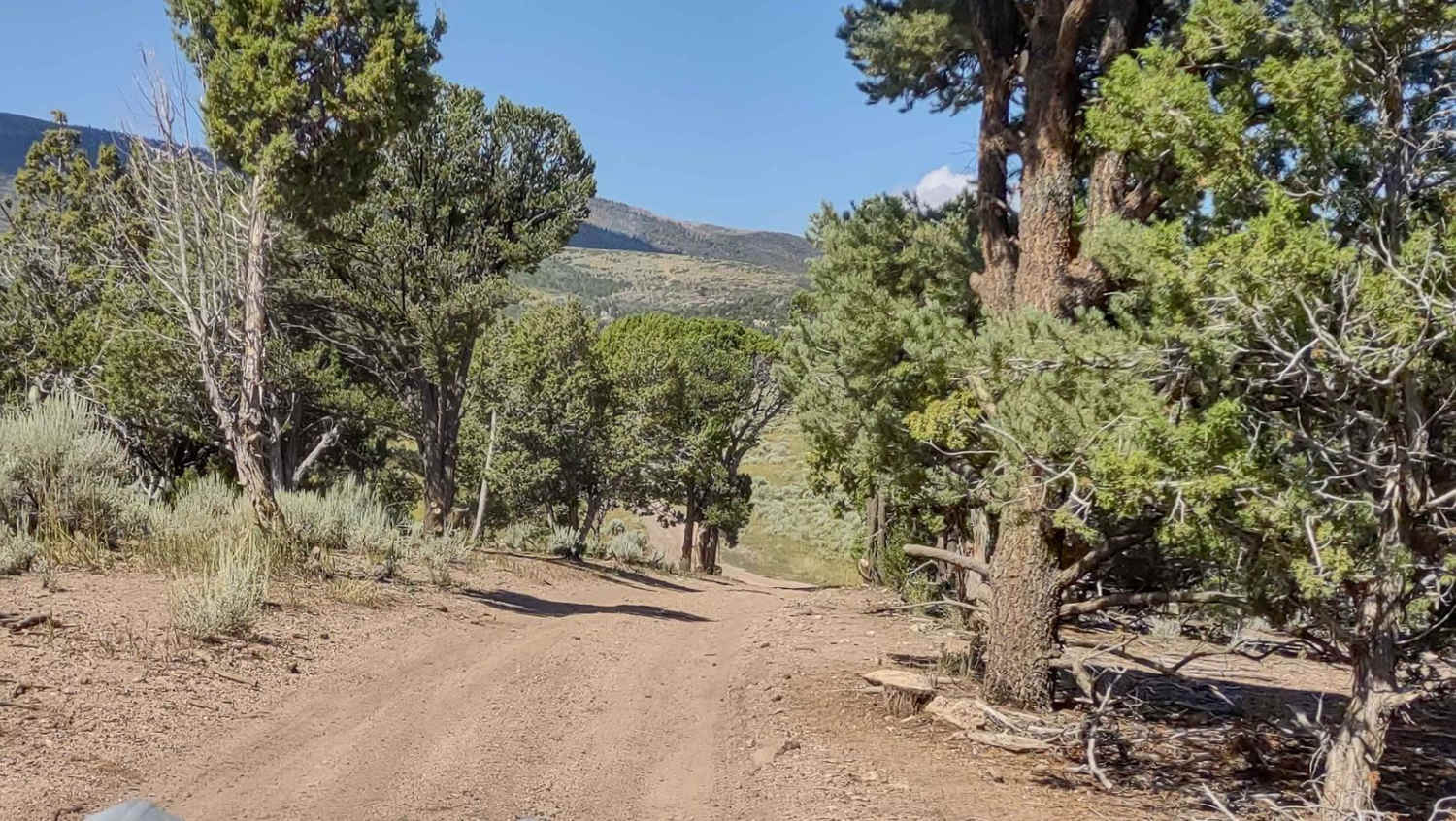 Clear Creek/Mill Creek - FS #40583, PST15A