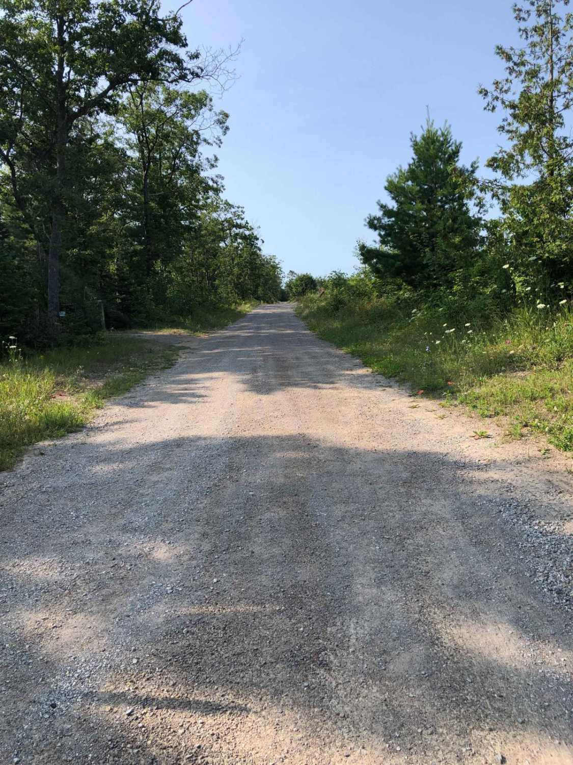 Lookout Road