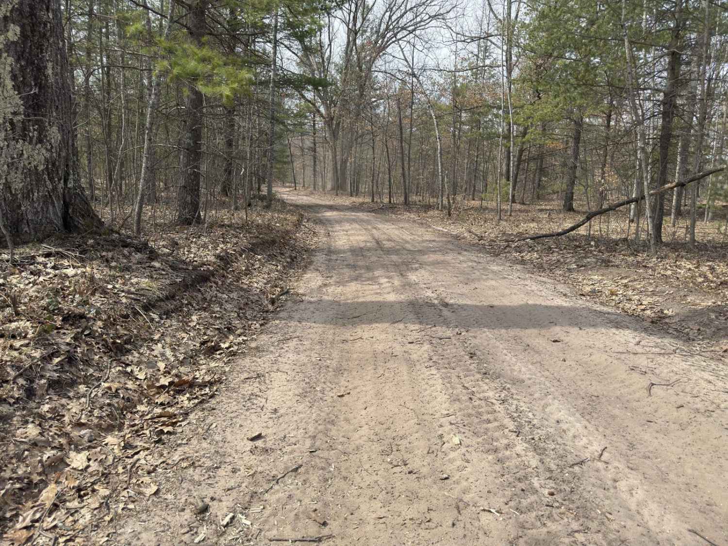 Luhr's Trail