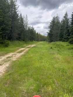 Akers-Excavation Trail 8240
