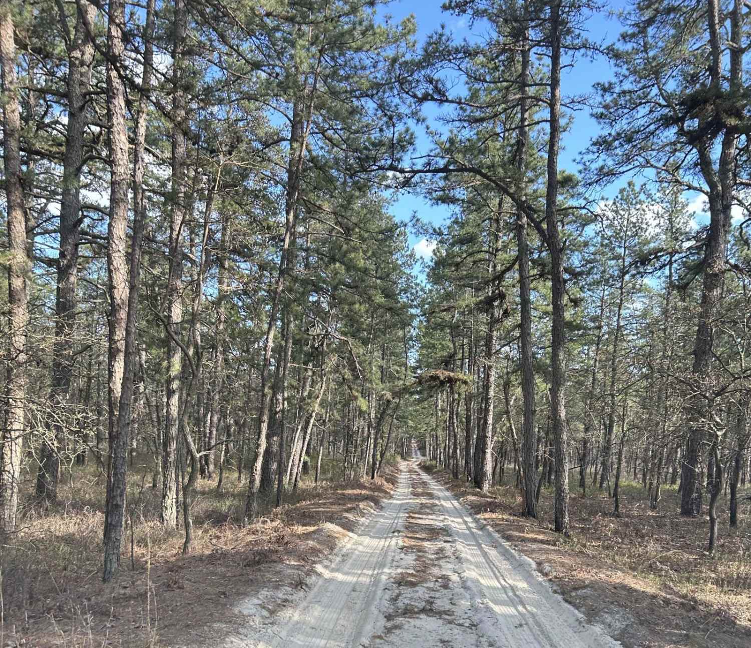 Marcus Trail