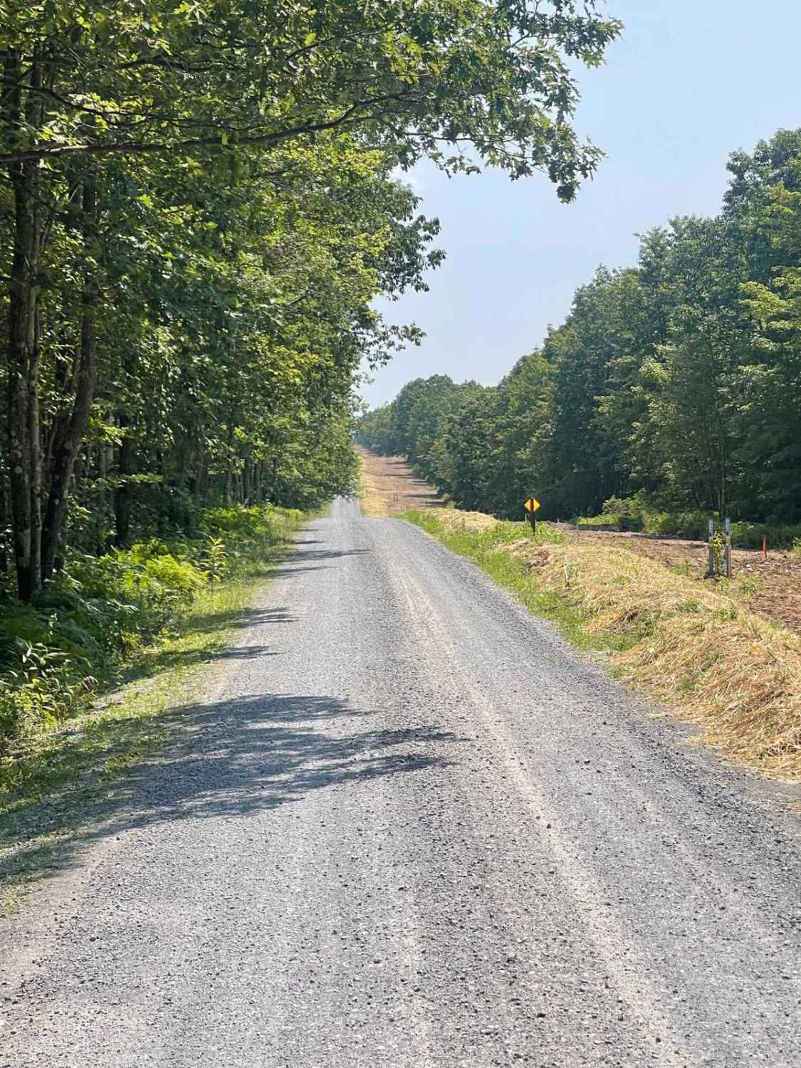 Sinking Springs Road