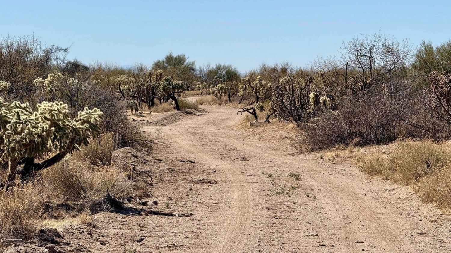 Big Tank and Suffering Wash