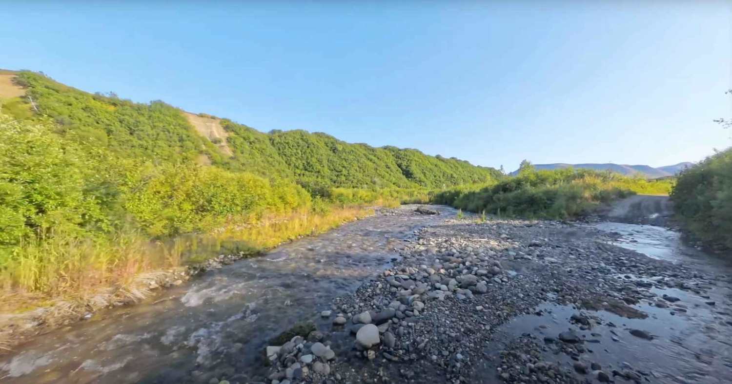 Denali Border