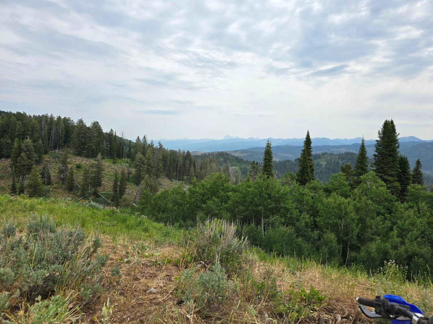 Rainey Creek- Mike Spencer Loop