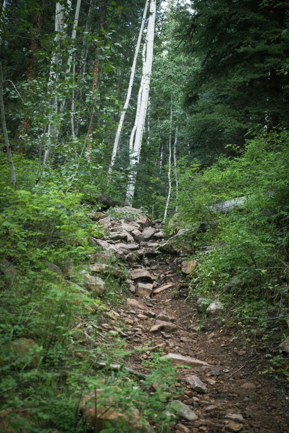 Chicken Creek Trail