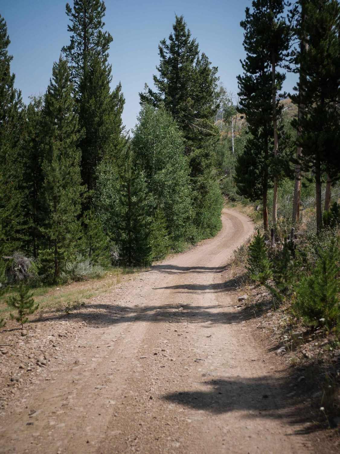 Challis Creek Road 