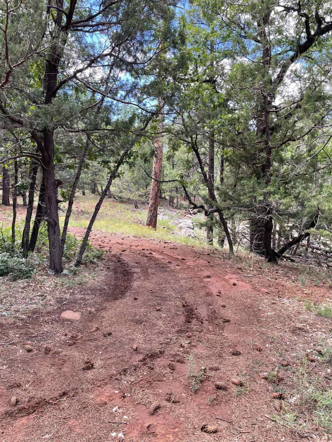  Scrub Oak Bypass 